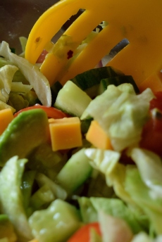 While I'm taking photos of flowers the good lady is making a simple salad... with avocado! and cheese ... for effect!